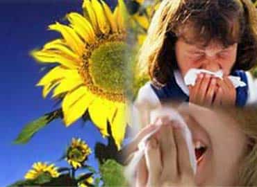 alergias-al-polen.jpg