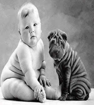 Cuándo se sientan los bebés bebe-con-perro-gordito.jpg