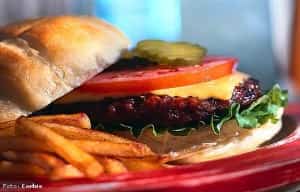 hamburguesa-comida-chatarra