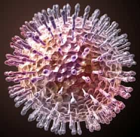 modelo-biologico-de-un-herpes