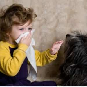 alergia a los animales