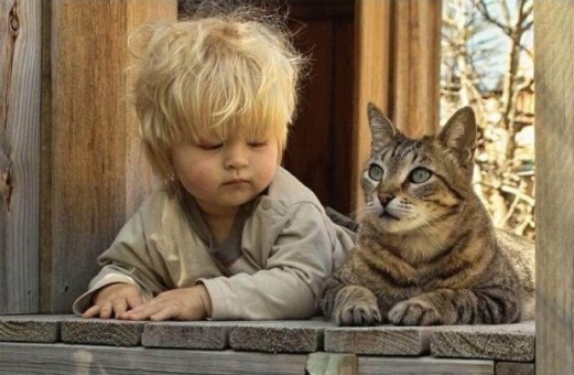 niño y gato