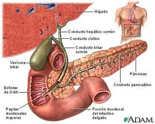 colestasis obstetrica
