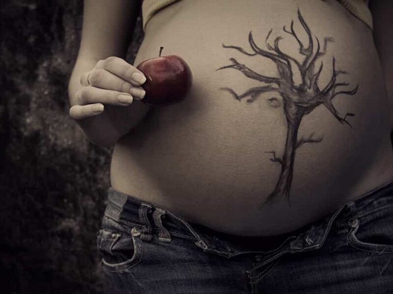 mujeres vegetarianas y embarazadas