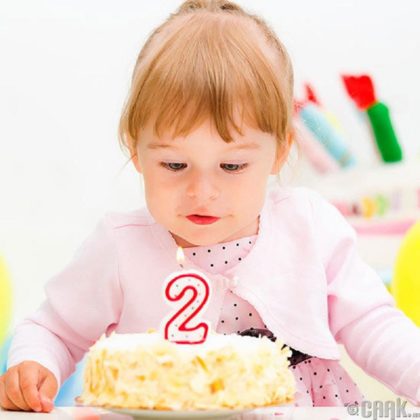 Ideas para organizar una fiesta de cumpleaños para un niño de 2 años