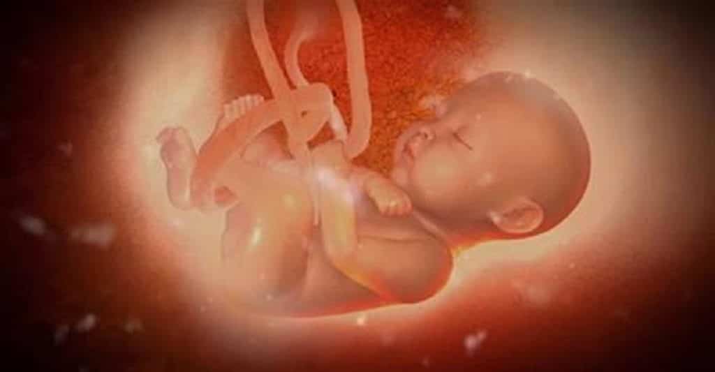 ¿Qué es el hipo fetal? y ¿qué lo causa? Consejos y preguntas