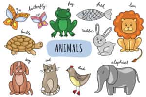 Adivinanzas divertidas