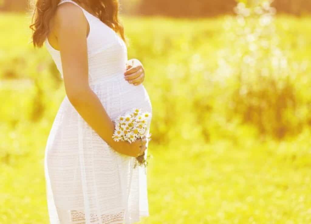 depositphotos 52343515 stock photo pregnancy lovely woman with flowers