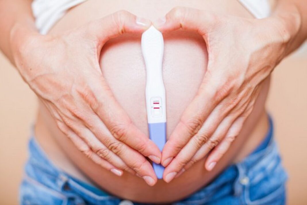 Test De Embarazo ¡todo Lo Que Necesitas Saber Bebés Y Embarazos