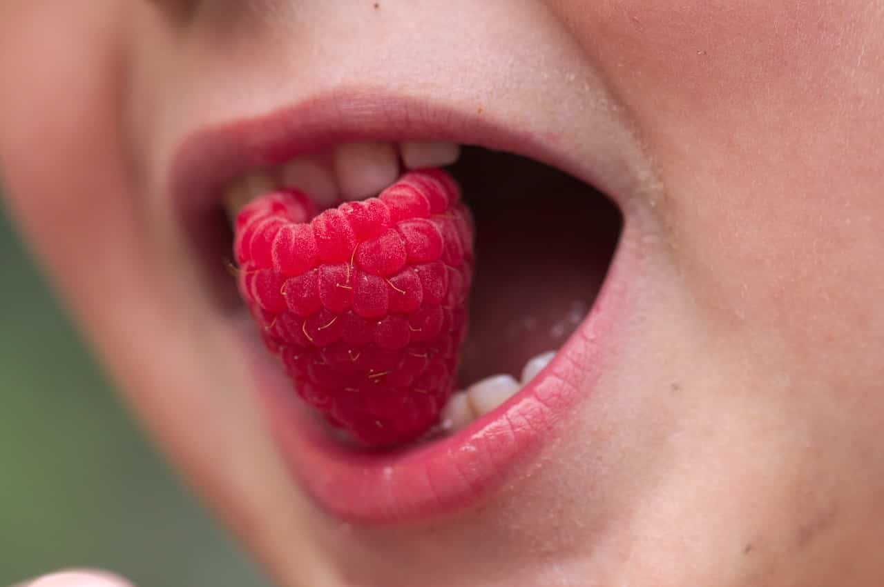 Es importante motivar a los niños a comer frutas, y que se acostumbren a su sabor si añadir azúcar.