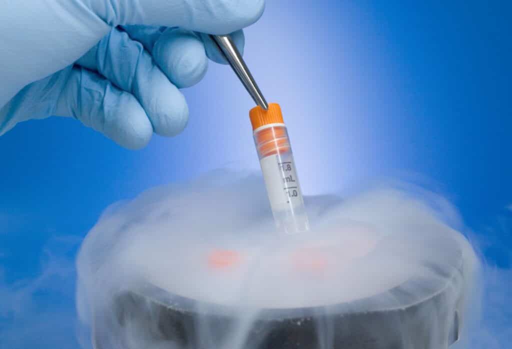 congelar embriones fecundacion invitro
