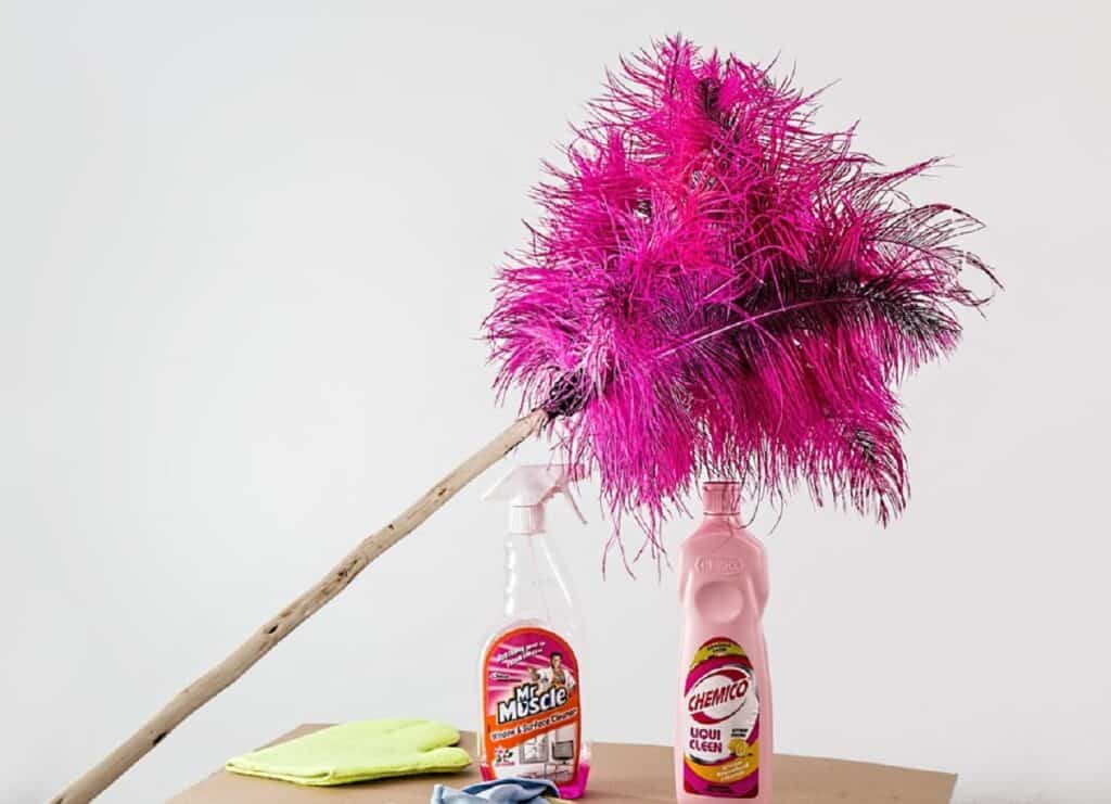 feather duster 709124 960 720