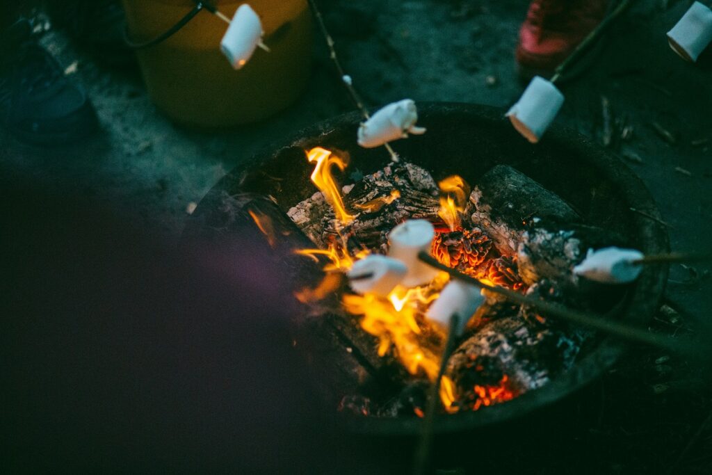 campamento escolar naturaleza