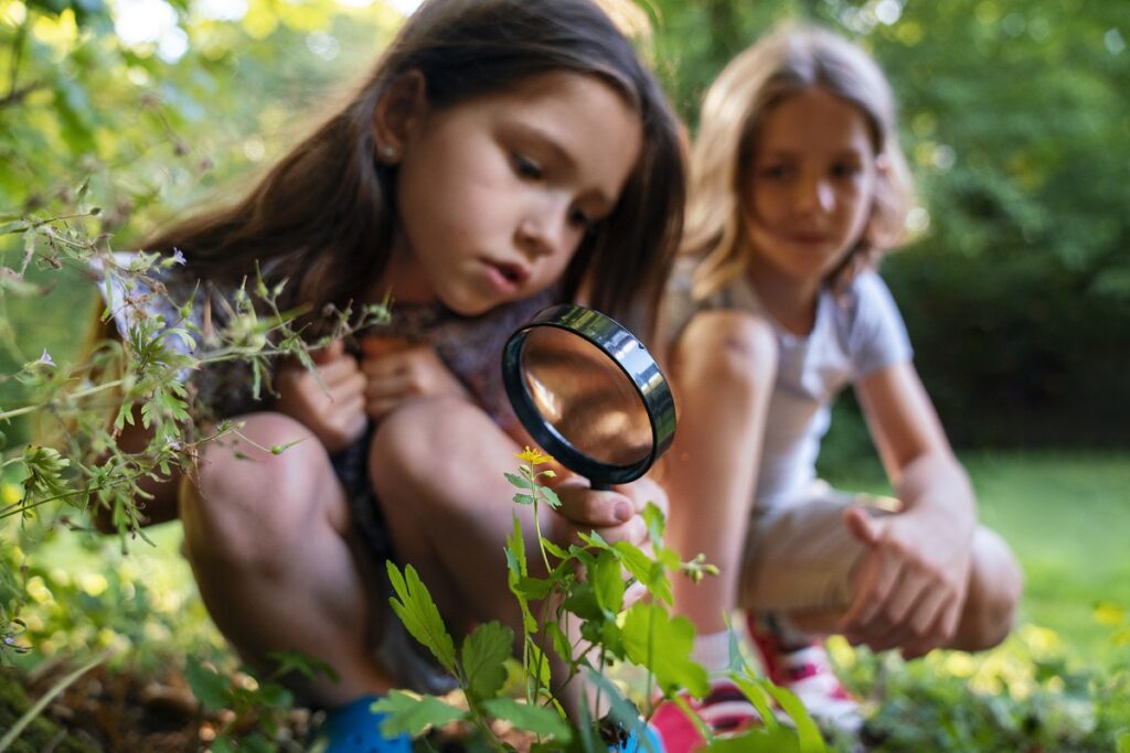 aprender de insectos y flores