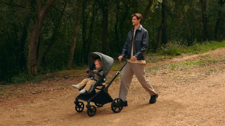 Home Elementor Bugaboo P006